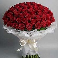Букет 101 Красная роза Блэк Мэджик в Северо-Курильске