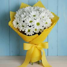 Букет цветов из:  Хризантемы в Северо-Курильске