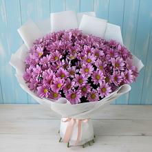 Букет цветов из:  Хризантемы в Северо-Курильске