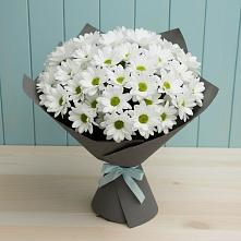 Букет цветов из:  Хризантемы #REPLACE_PRED# Северо-Курильске
