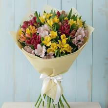 Букет цветов из:  Альстромерии в Северо-Курильске