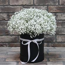 Цветочная композиция из Гипсофила в шляпной коробке #REPLACE_PRED# Северо-Курильске