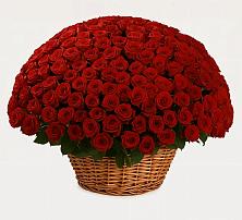 Премиум букет из: Розы в Северо-Курильске